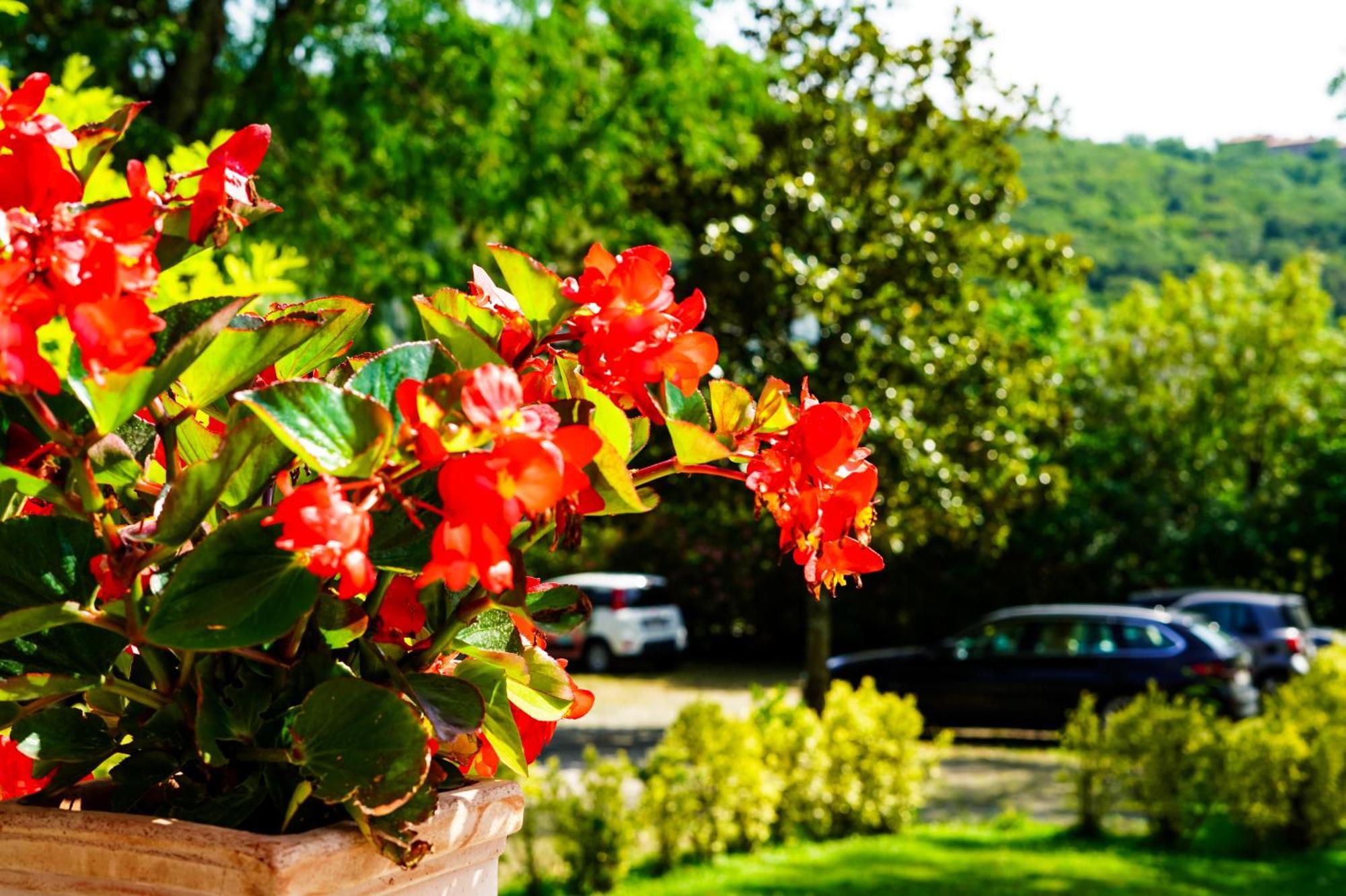 Villa Bottacin ตรีเอสเต ภายนอก รูปภาพ